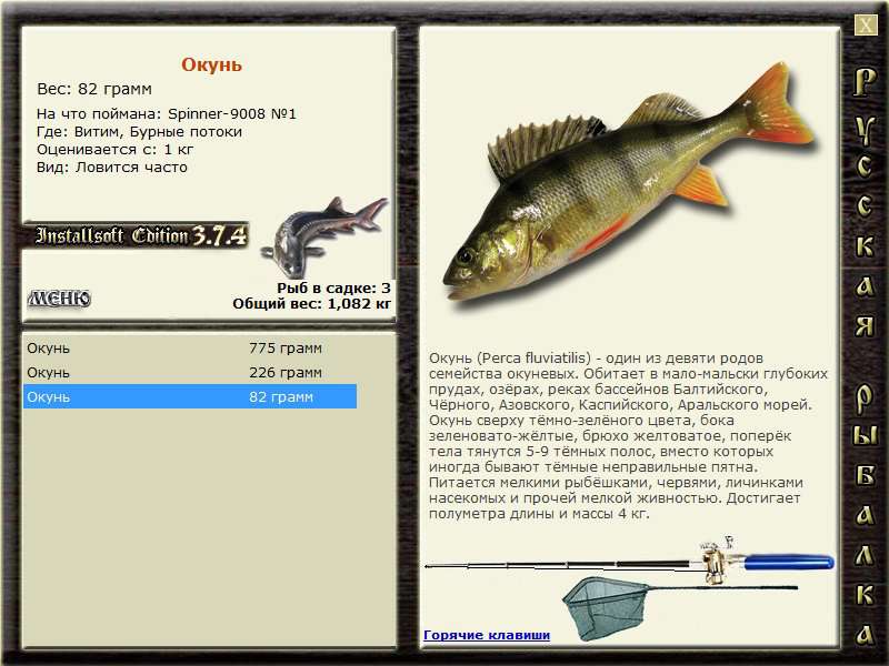 Окуневая рыба 4 буквы. Семейство окуневых рыб. Рыба семейства окуневых 6 букв. Клыкастая рыба из окуневых. Рыбхоз квест окунь.