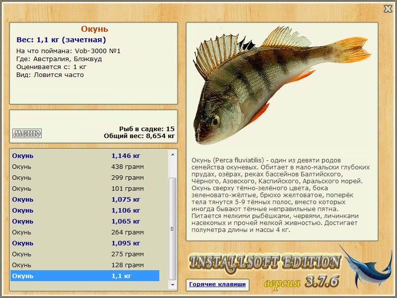 Рыба из окуневых. Окунь вес. Виды рыб семейства окуневых. Турниры русская рыбалка окунь.