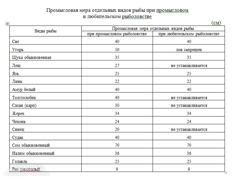 Рыба нормы. Разрешённый размер вылавливаемой рыбы. Разрешенный размер улова рыбы. Размер рыбы разрешенной к вылову. Минимальный размер рыбы разрешенный.