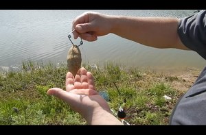 Рыбалка - ловим толстолобика