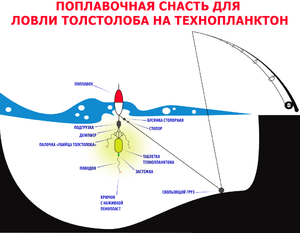 Поплавочная снасть для ловли карповых