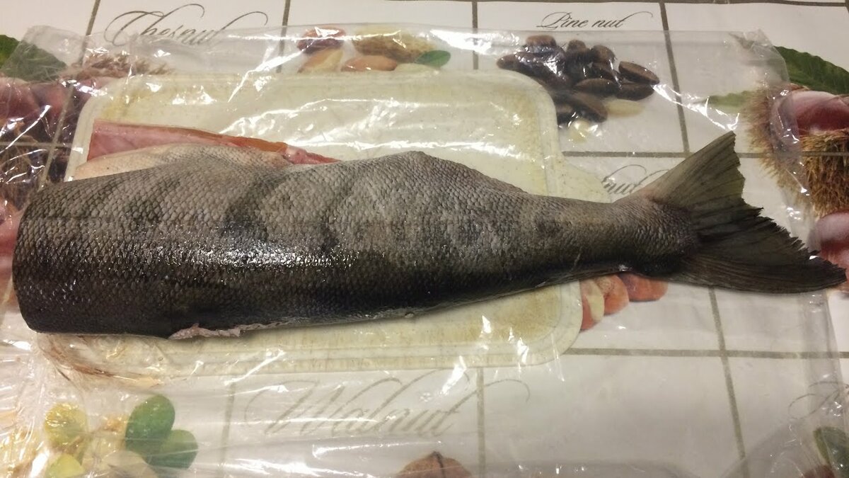 засаливание форели. семга лосось кижуч. как засолить дома форель вкусно и быстро. форель радужная малосольная. форель домашнего посола.