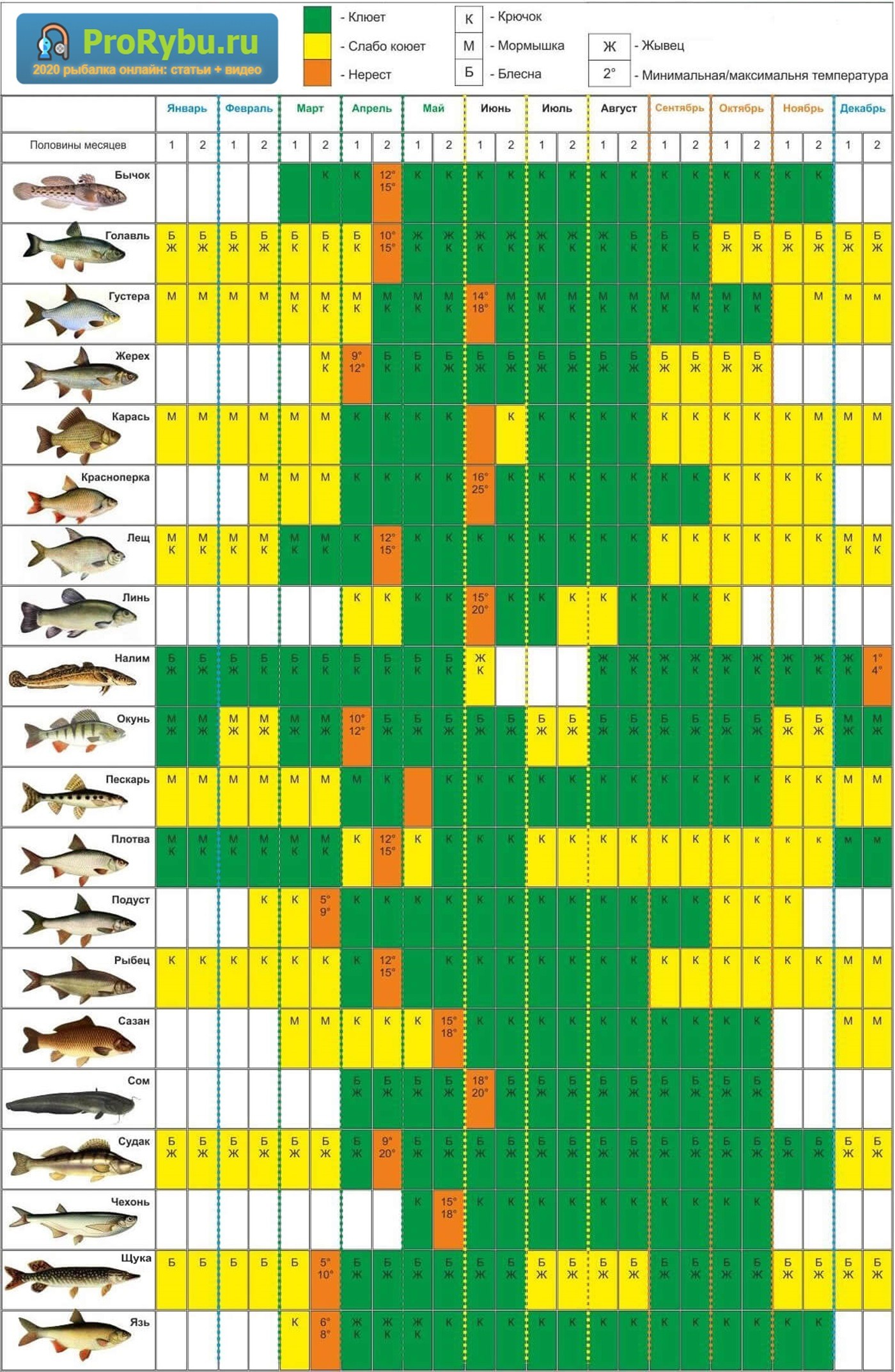 когда клюет рыба - календарь на год