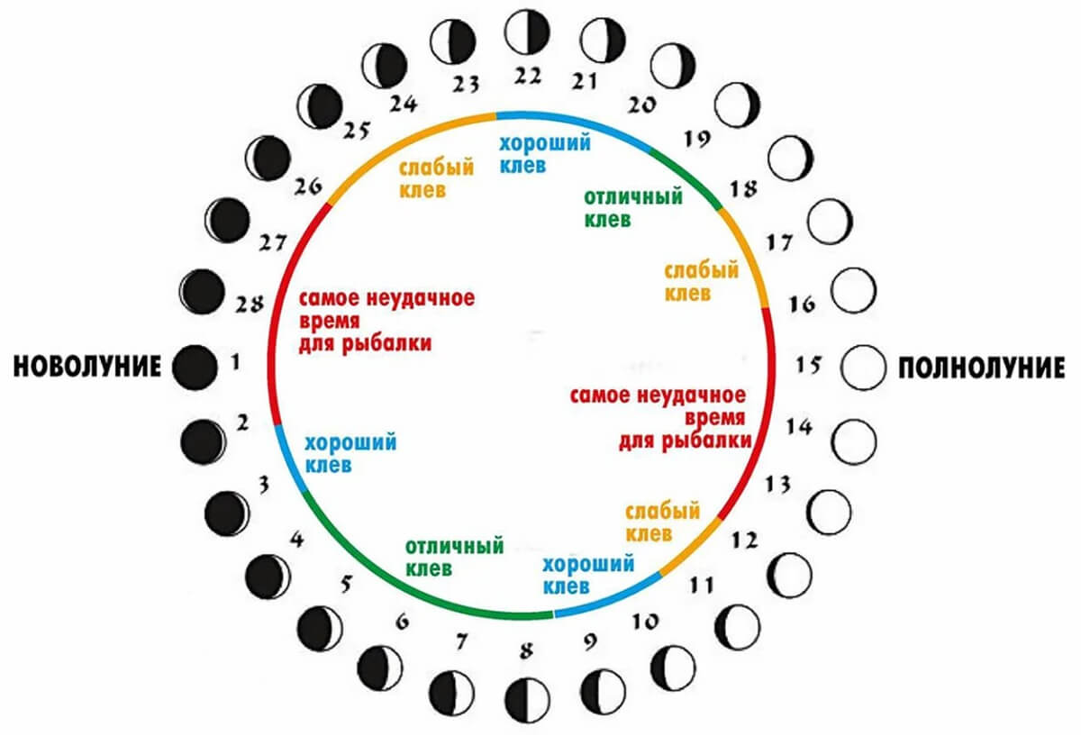 влияние Луны на клев рыбы