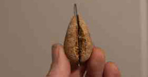 Бранимир Калинич