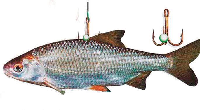 Насадка за спину