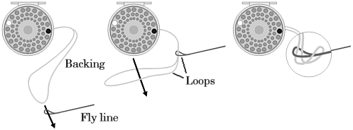 loop system