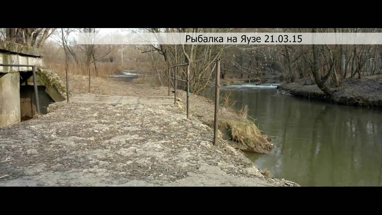Ловля на москва реке. Река Яуза рыбалка. Рыбалка на реке Яуза в Москве. Рыбалка на Яузе в Москве. Рыбалка на реке Яузе.