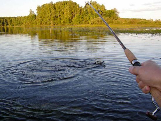в безветренную погоду