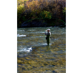 casting a fly rod