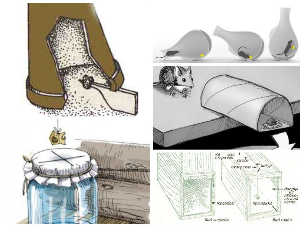 Сделать ловушку своими руками. ЛОВУШКА своими руками. Самодельные ловушки. Схема ловушки для мышей. Мышеловки для мышей своими руками.