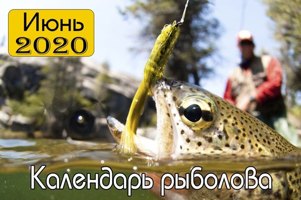 Календарь рыболова на июнь 2020 года