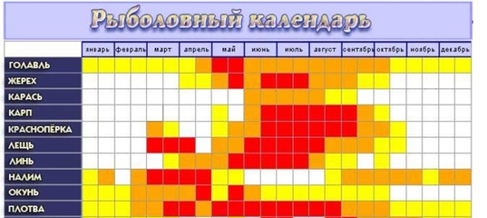 Погода в тимашевске на 3 дня