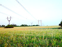 Donetsk region nature