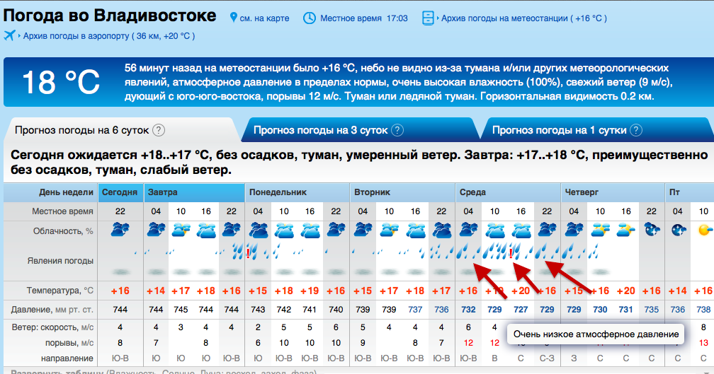 Погода Владивосток. Прогноз погоды Владивосток. Погода Владивосток сегодня. Какая сегодня погода во Владивостоке.