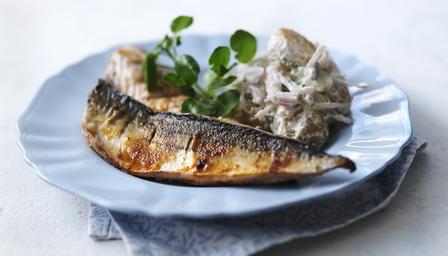 Spiced mackerel with horseradish potatoes