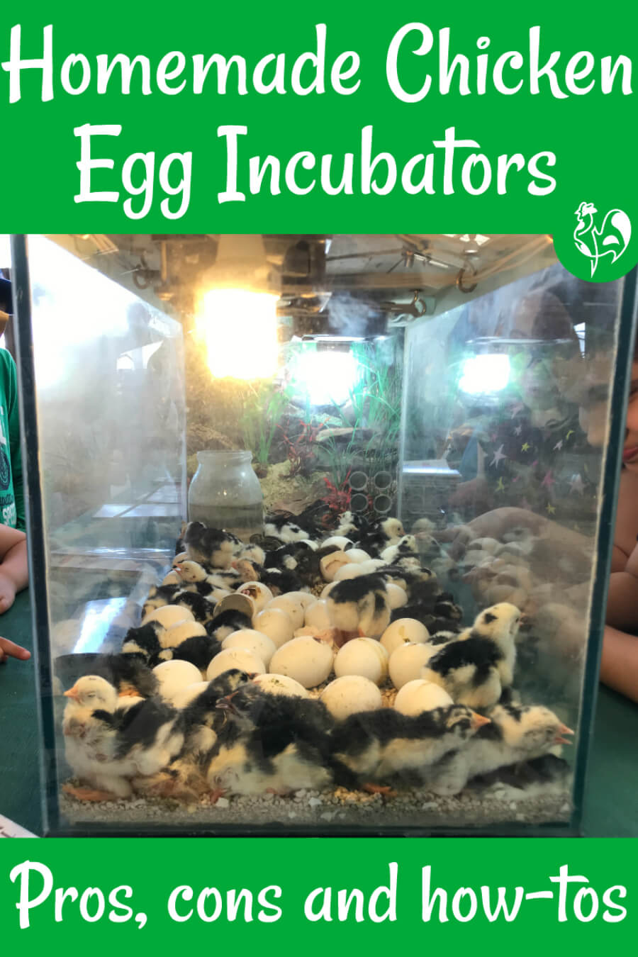 Is creating a homemade incubator worth the time? Find out here. How to make a homemade chicken egg incubator - pin for later.