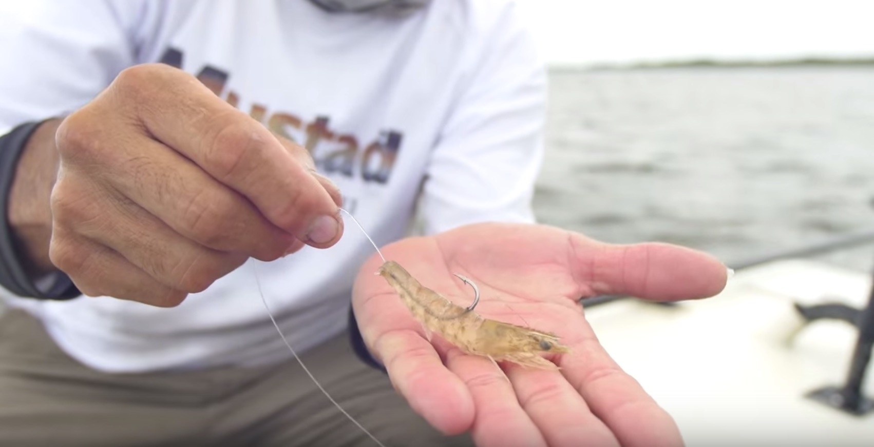 how to hook shrimp
