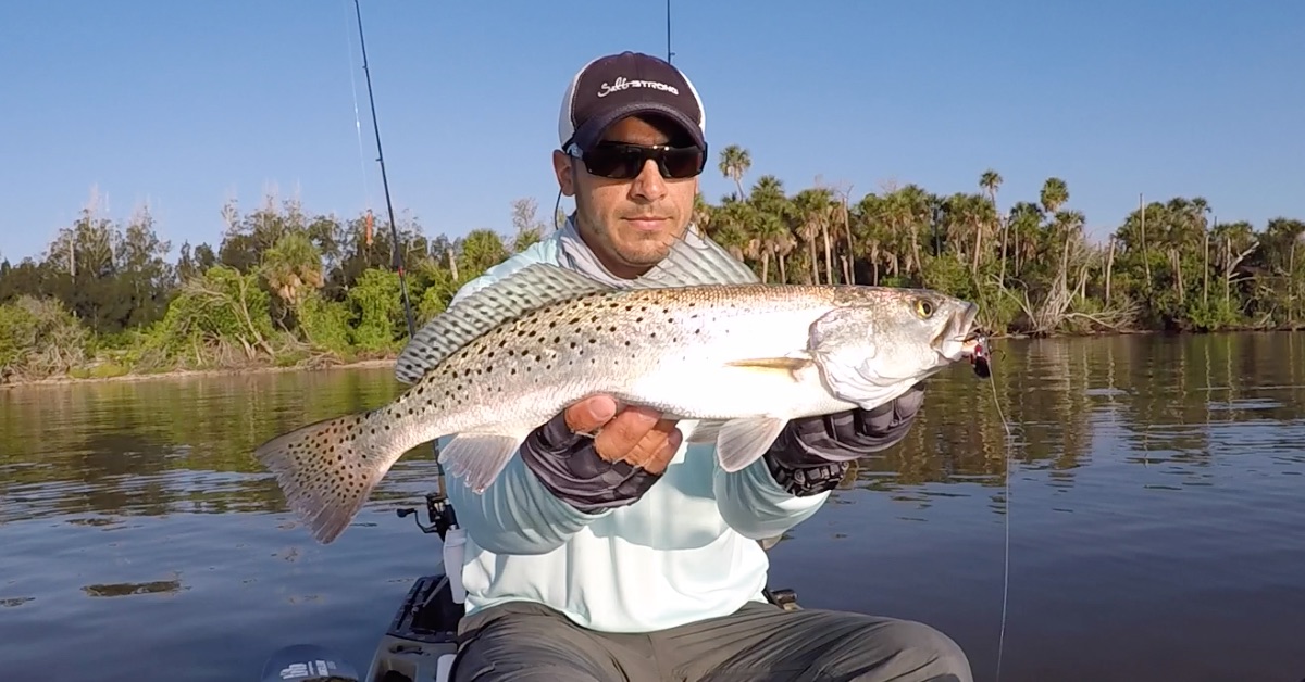 weedless jig head soft plastic is too high