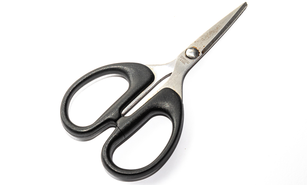 scissors for fishing